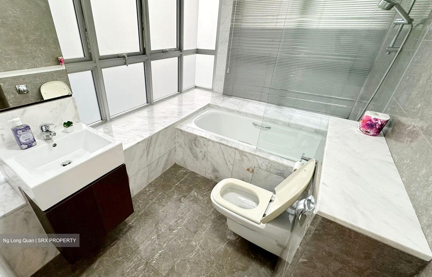 Parc Vista (D22), Condominium #600608871
